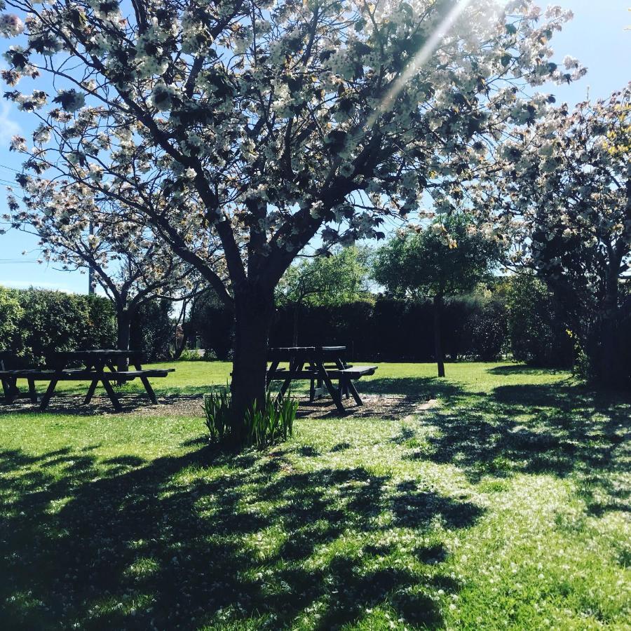 Pinot Villas Martinborough Esterno foto