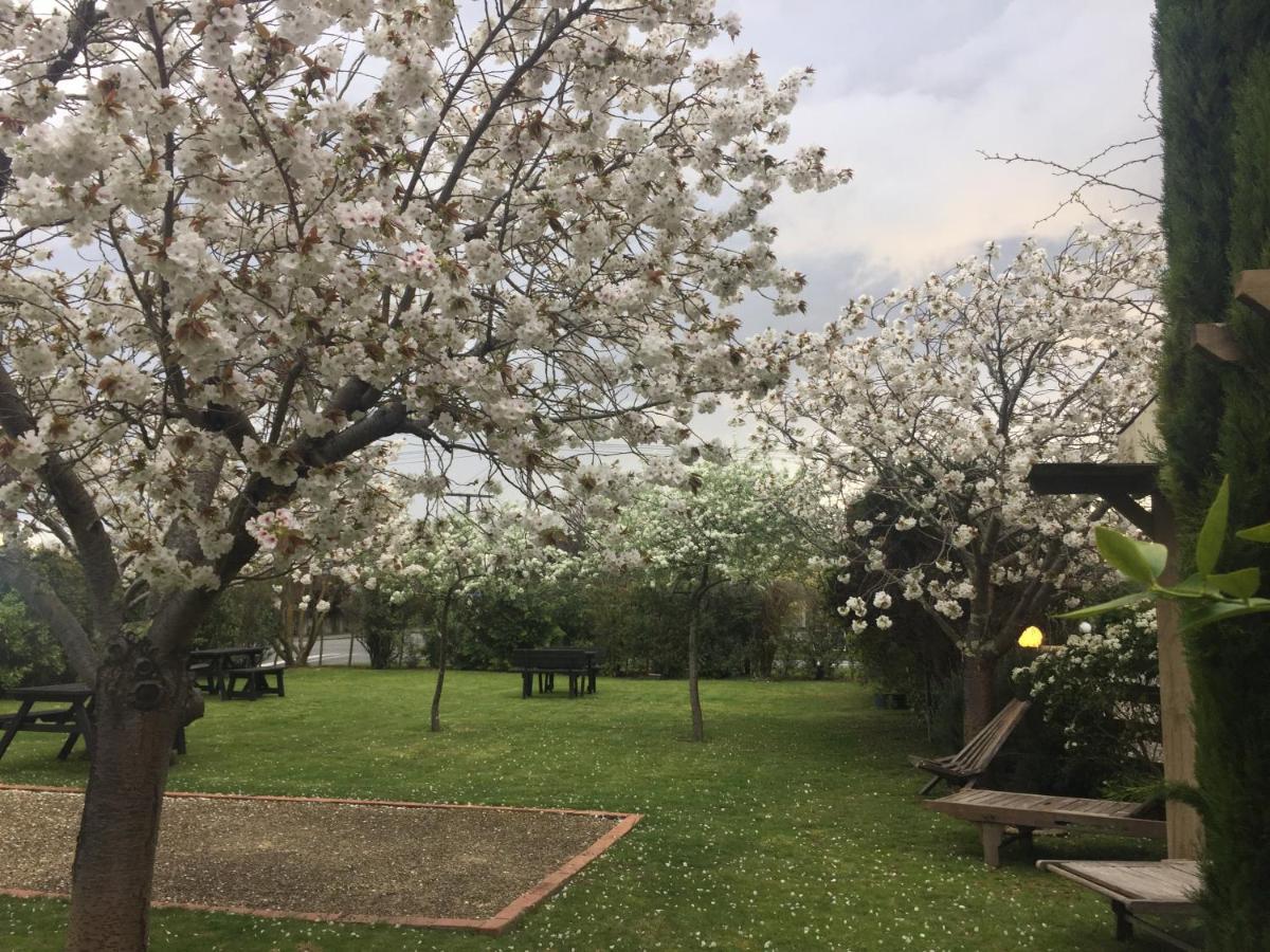 Pinot Villas Martinborough Esterno foto