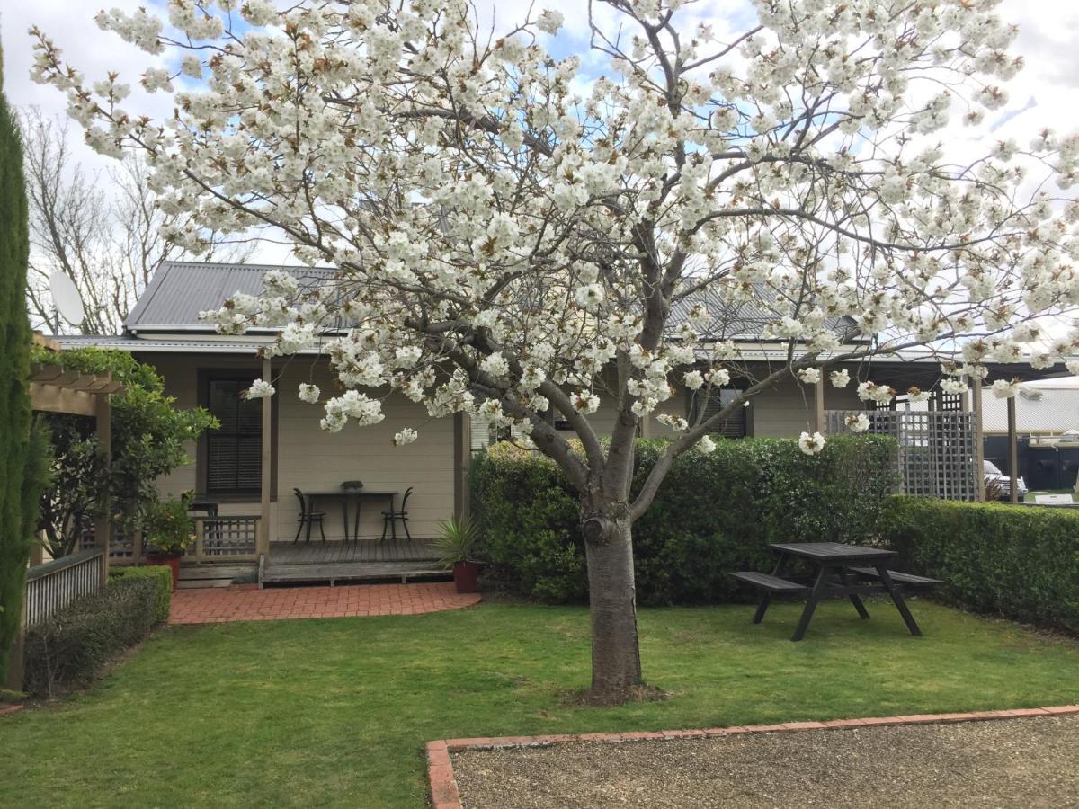 Pinot Villas Martinborough Esterno foto