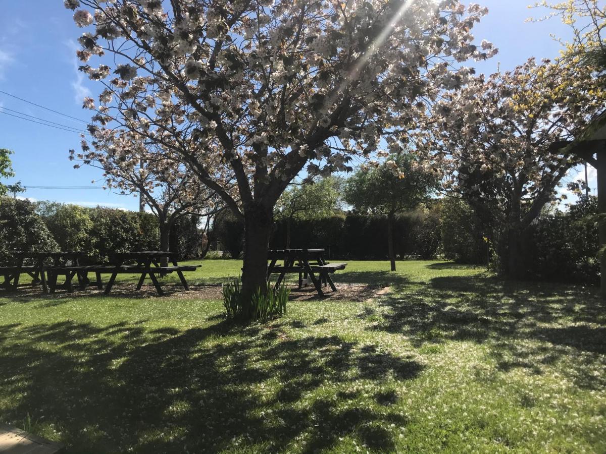 Pinot Villas Martinborough Esterno foto